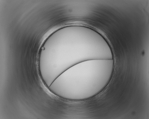 X0000115701482200912031454