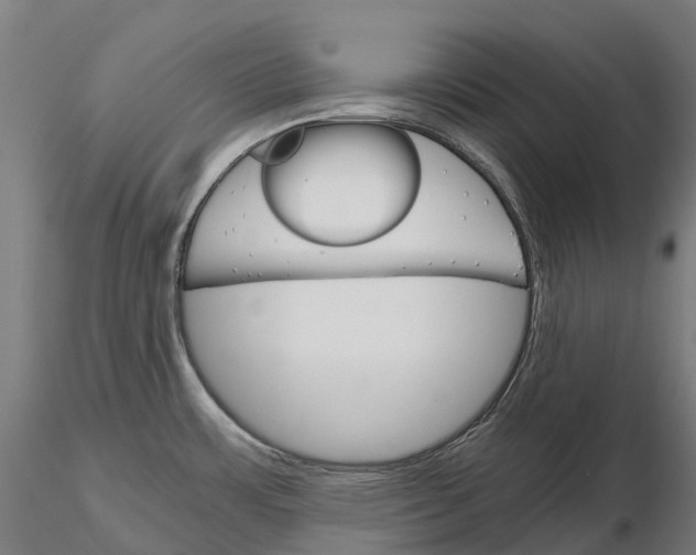 X0000115701483200912031454