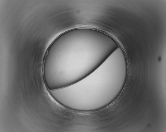 X0000115701484200912031454