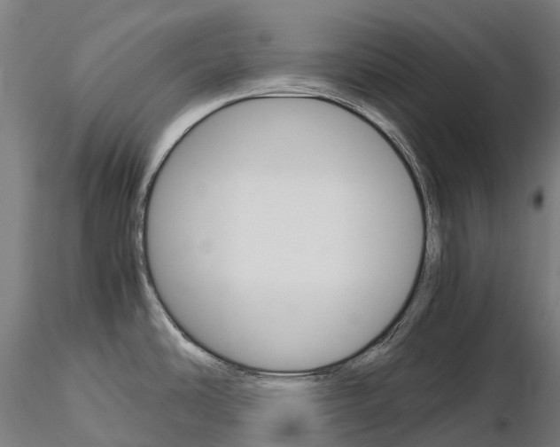 X0000115701486200912031454