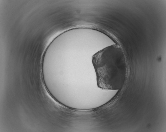 X0000115701487200912031454