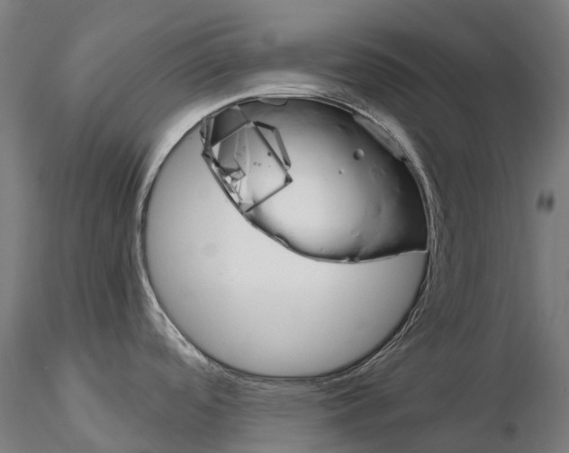 X0000115701488200912031454