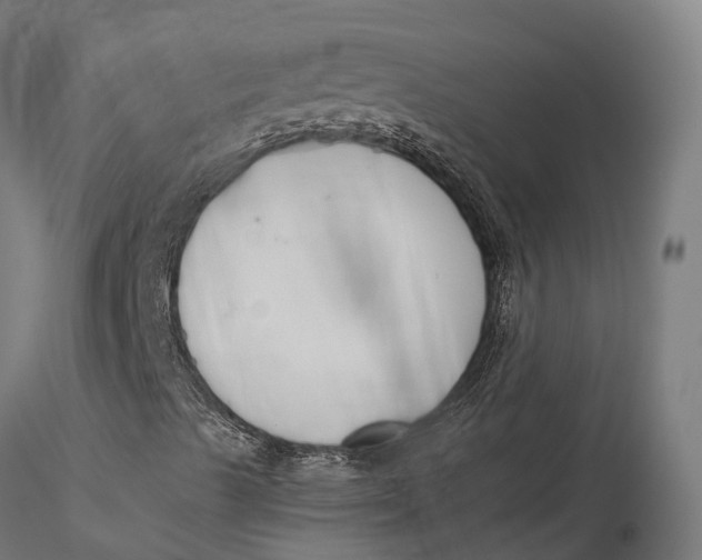 X0000115701489200912031453