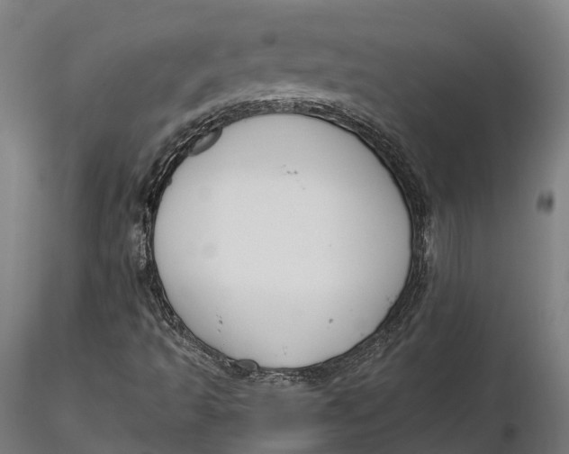 X0000115701493200912031453