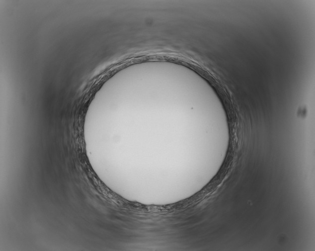 X0000115701494200912031453