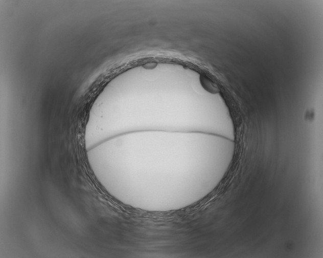 X0000115701495200912031453