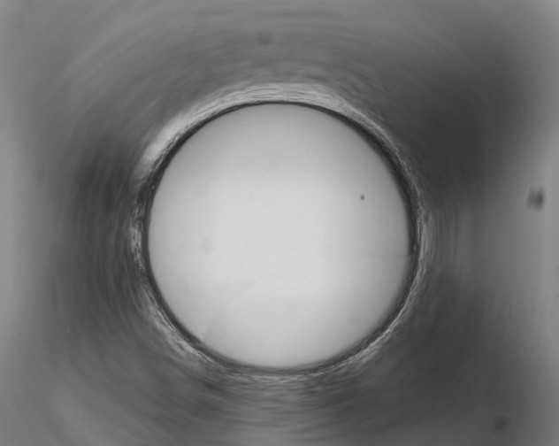 X0000115701498200912031453