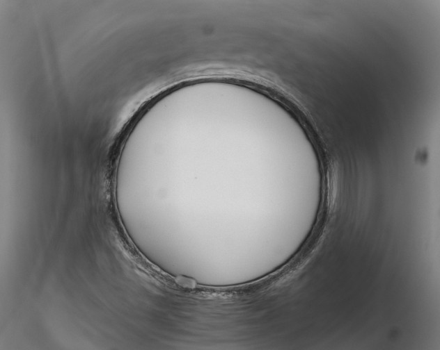 X0000115701501200912031453