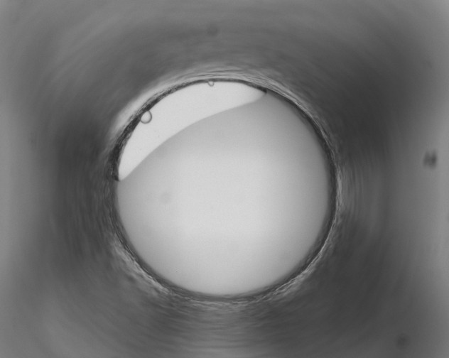 X0000115701502200912031453