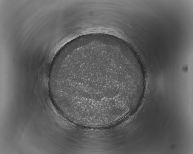 X0000115701505200912031453