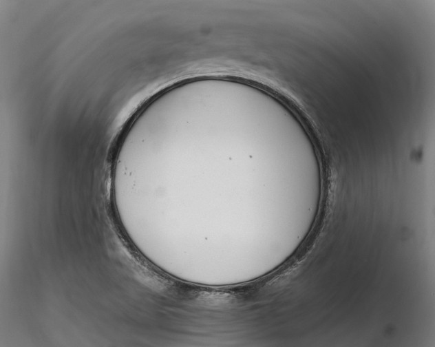 X0000115701509200912031453