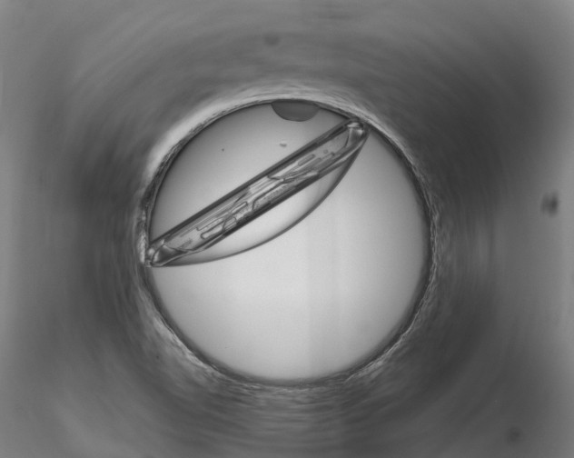 X0000115701510200912031453