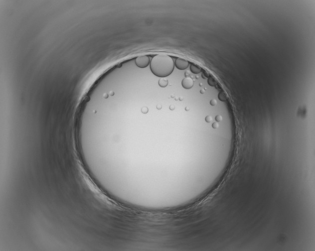 X0000115701511200912031453