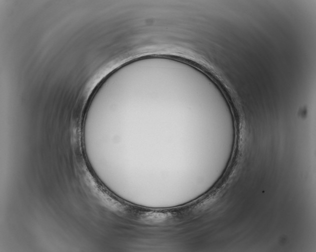 X0000115701513200912031453