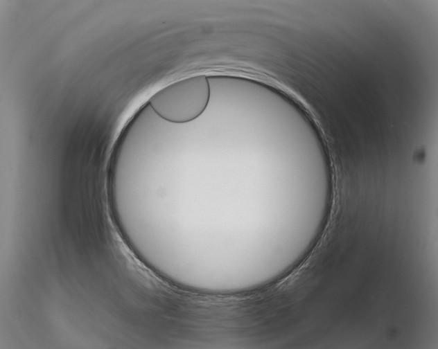 X0000115701514200912031453