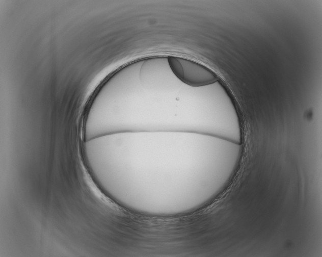 X0000115701515200912031453