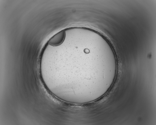 X0000115701517200912031453