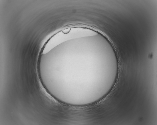 X0000115701518200912031453