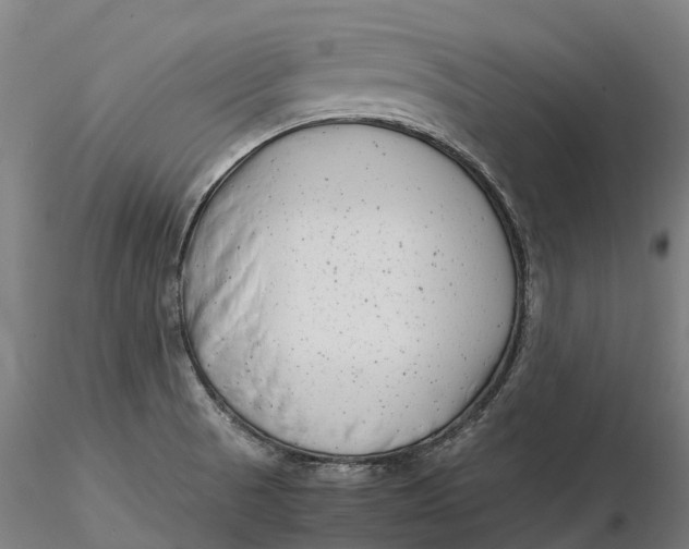 X0000115701521200912031453