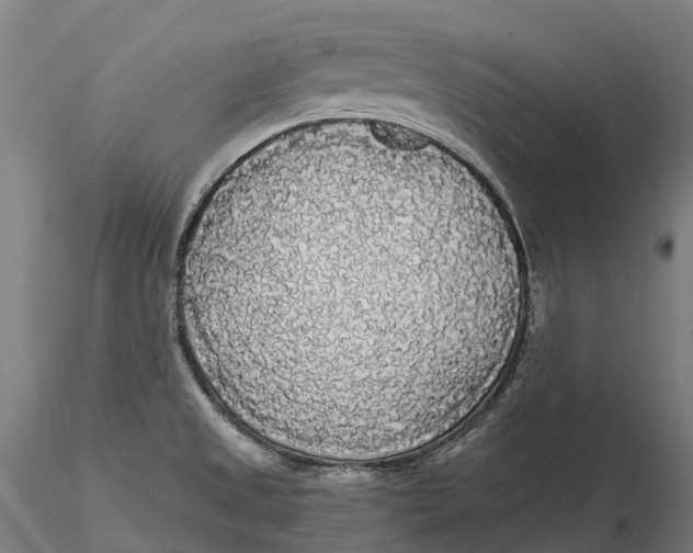 X0000115701525200912031454