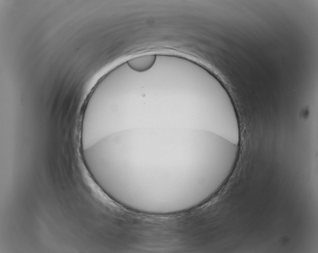 X0000115701526200912031454