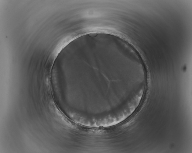 X0000115701529200912031454