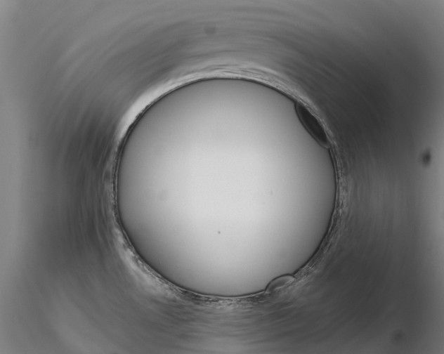 X0000115701530200912031454