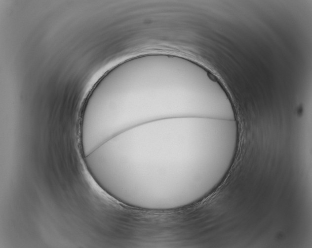 X0000115701531200912031454