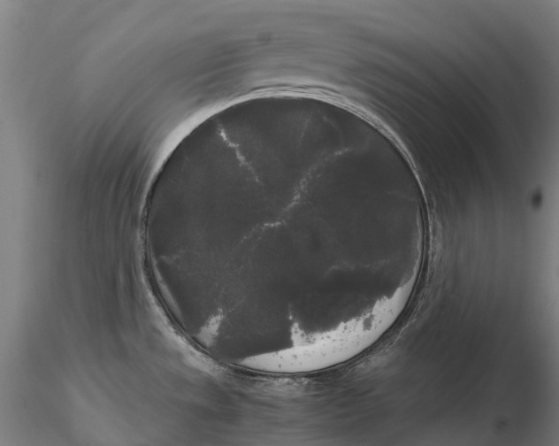 X0000115701533200912031454