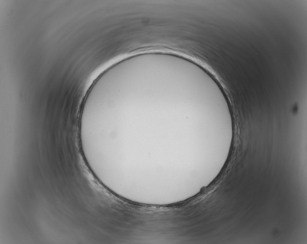 X0000115701534200912031454