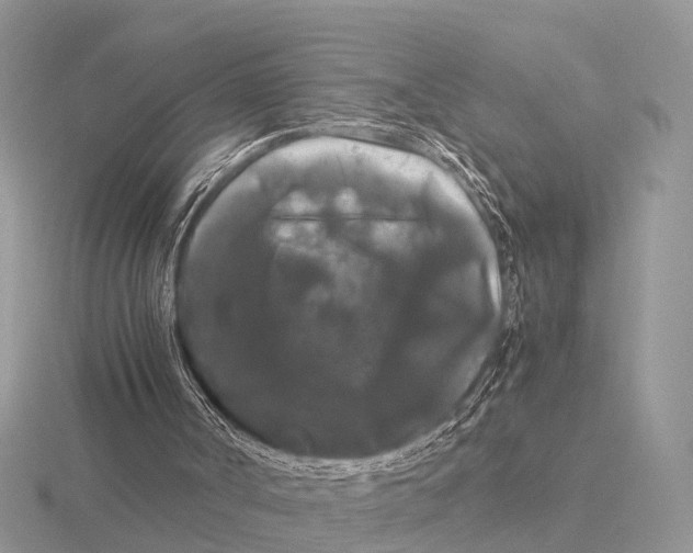 X0000115700002200912101225