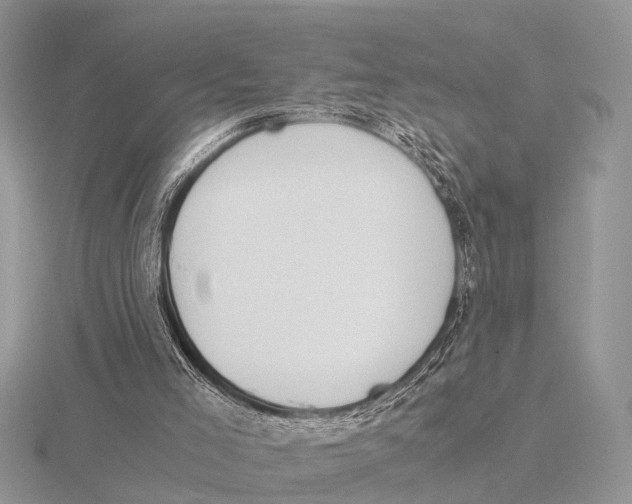 X0000115700005200912101225