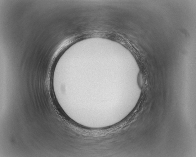 X0000115700006200912101225