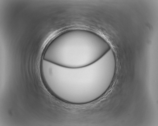 X0000115700007200912101225