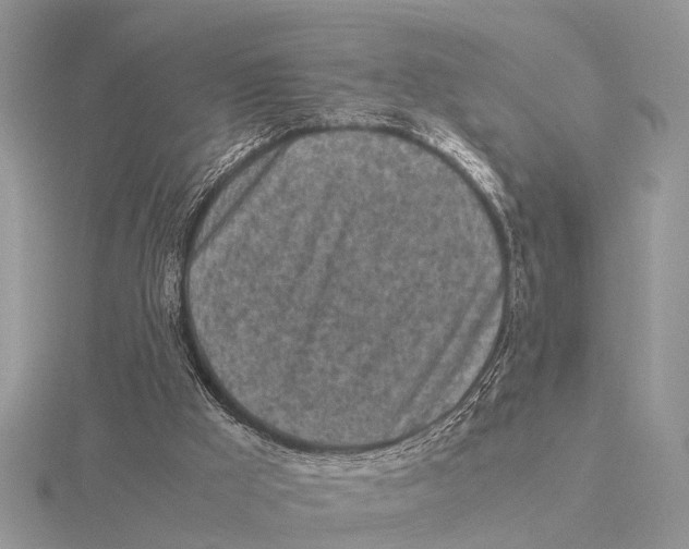 X0000115700009200912101225