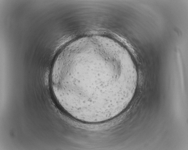 X0000115700010200912101225