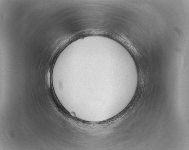 X0000115700014200912101225