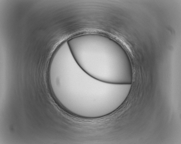 X0000115700015200912101225