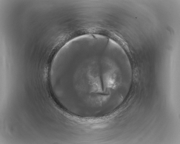 X0000115700018200912101225