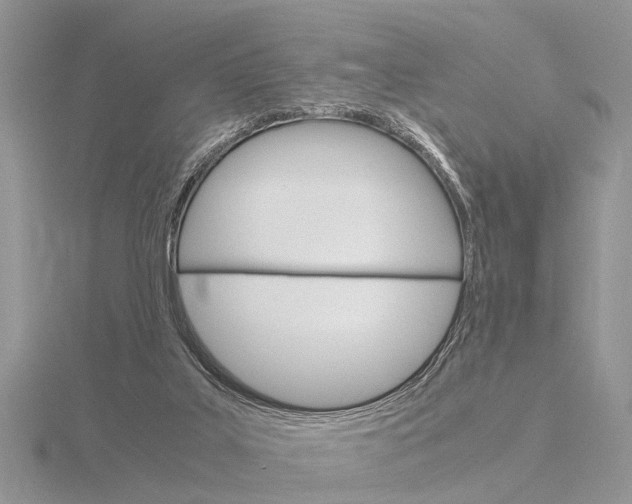 X0000115700019200912101225