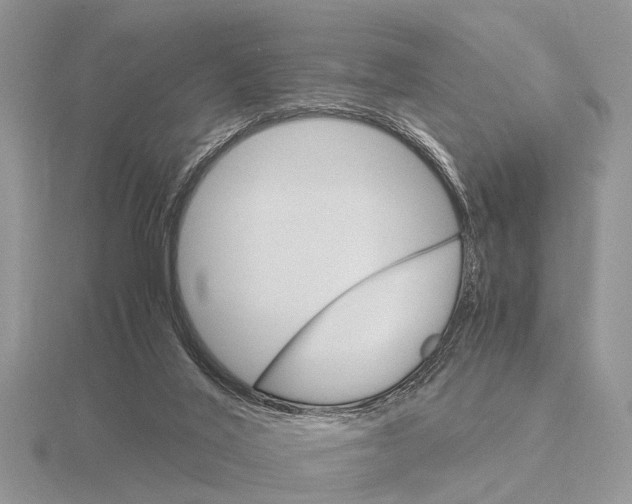 X0000115700020200912101225