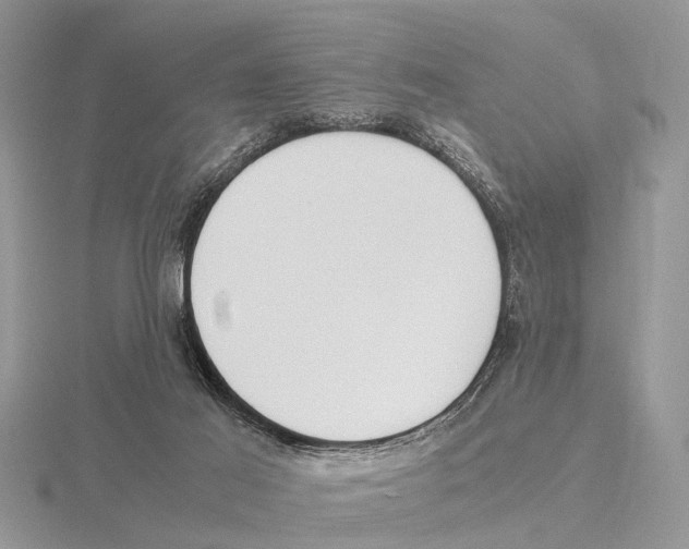 X0000115700021200912101225