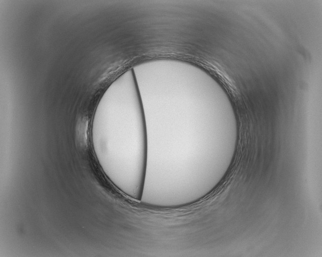 X0000115700024200912101225