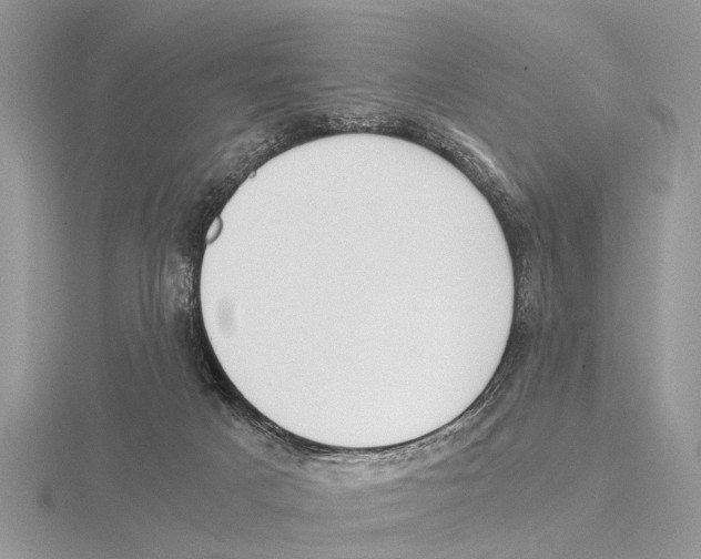 X0000115700025200912101225