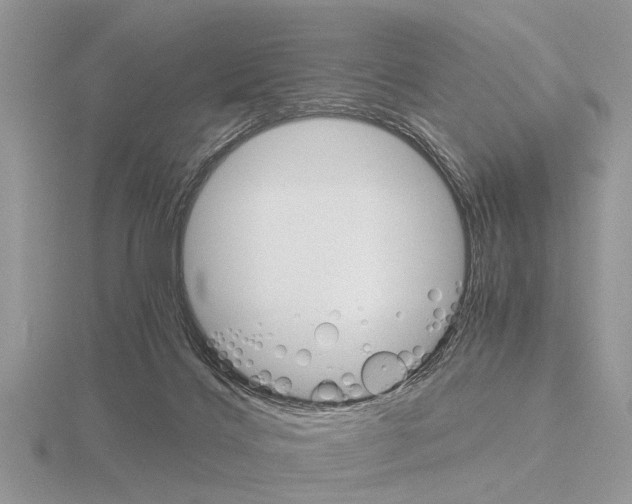 X0000115700028200912101225