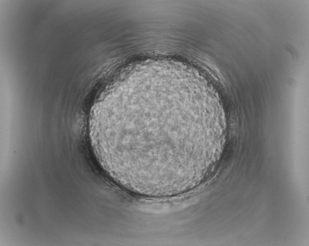 X0000115700029200912101225