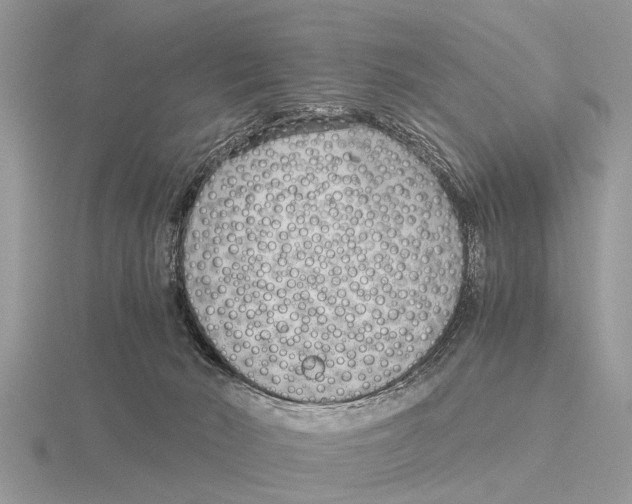 X0000115700030200912101225