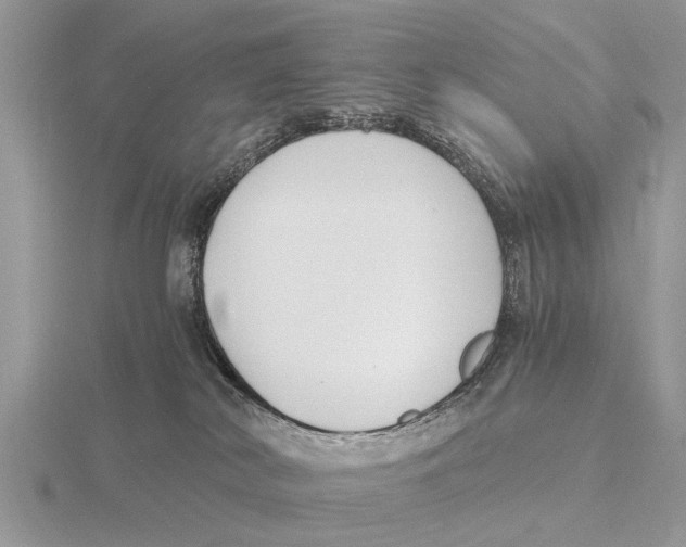 X0000115700038200912101225