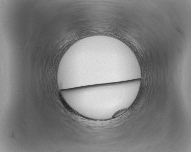 X0000115700039200912101225