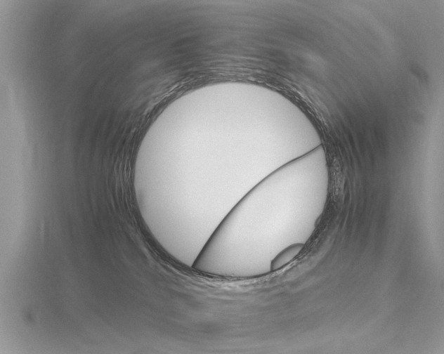 X0000115700040200912101225